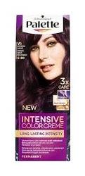 Palette Schwarzkopf farba na vlasy  N1